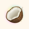 AI Note Taker – Coconote