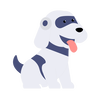 Study Fetch